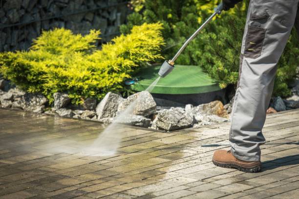 Best Boat and Dock Cleaning  in South Apopka, FL