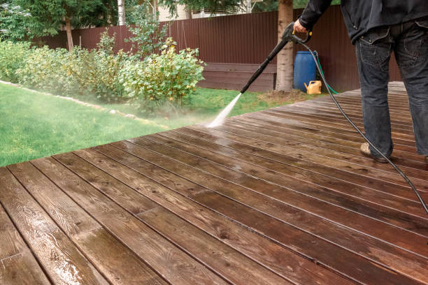 Best Driveway Pressure Washing  in South Apopka, FL